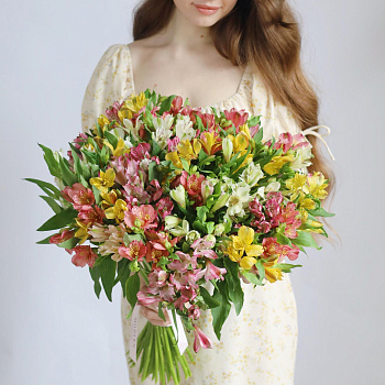 БУКЕТ 51 АЛЬСТРОМЕРИЯ МИКС