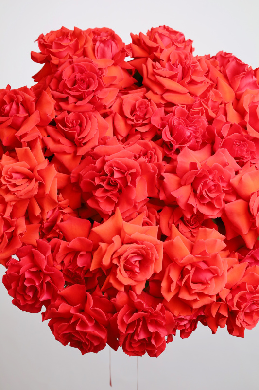 БУКЕТ 51 КРАСНАЯ ФРАНЦУЗСКАЯ РОЗА