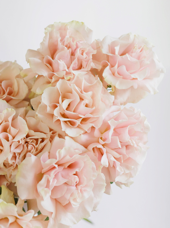 БУКЕТ 15 ФРАНЦУЗСКИХ РОЗА PINK MONDIAL